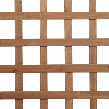 50" H Raised Garden Bed with Trellis planter Box for Vine Climbing Plant