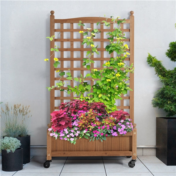 50" H Raised Garden Bed with Trellis planter Box for Vine Climbing Plant