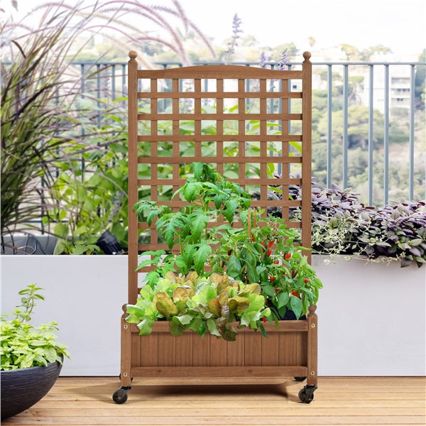 50" H Raised Garden Bed with Trellis planter Box for Vine Climbing Plant