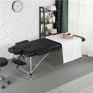 Portable 2 Fold Aluminum Massage Bed