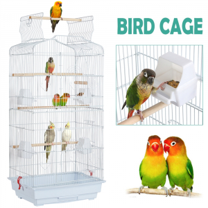 41’’ H Open Top Metal Bird Cage